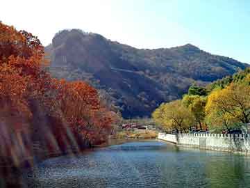 新澳天天开奖资料大全旅游团，小说邂逅亿万大人物